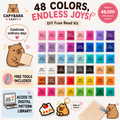 24/48 Colors Create Your Own DIY Fuse Bead Kit